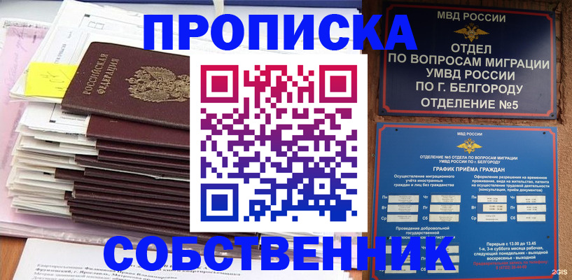 прописка законно в Шатуре