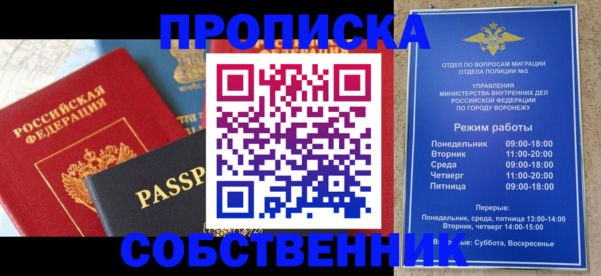 прописка гарантия в Шатуре